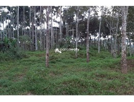 1.95 acre Agriculture land for sale in Cheriyamkolli @ 32 lakh….