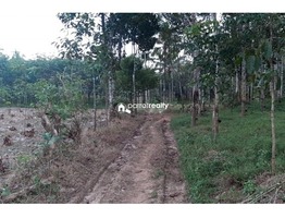 1.95 acre Agriculture land for sale in Cheriyamkolli @ 32 lakh….