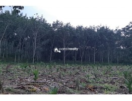 1.95 acre Agriculture land for sale in Cheriyamkolli @ 32 lakh….