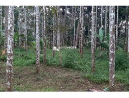 1.95 acre Agriculture land for sale in Cheriyamkolli @ 32 lakh….