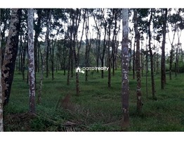 1.95 acre Agriculture land for sale in Cheriyamkolli @ 32 lakh….