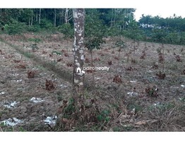 1.95 acre Agriculture land for sale in Cheriyamkolli @ 32 lakh….