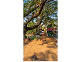 52 cents land for sale near Valapad junction in Thrissur district