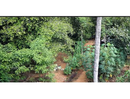 50 Cent Land With 1787 Sqft House For Sale Near by Mannuthy Pattikkad National Highway