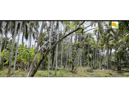 1.30 Acre land for sale near by mulamkunnathukavu,Thrissur District