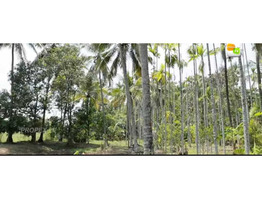 1.30 Acre land for sale near by mulamkunnathukavu,Thrissur District