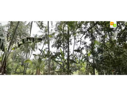 1.30 Acre land for sale near by mulamkunnathukavu,Thrissur District