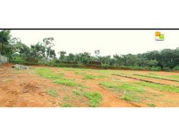 House Plots For Sale Near By kolenchery Medical college