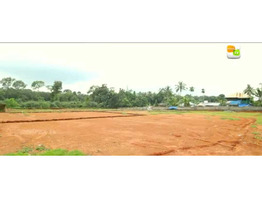 House Plots For Sale Near By kolenchery Medical college