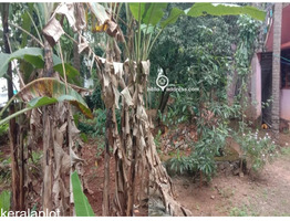 41 Cent Land with 2000 Sqft Two Story House For Sale Near by ottapalam,Kaniyapuram Junction