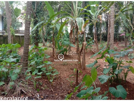 41 Cent Land with 2000 Sqft Two Story House For Sale Near by ottapalam,Kaniyapuram Junction