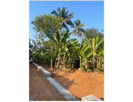 15 Cent Land For Sale Near by Chalakudy St. James Hospital,Thrissur