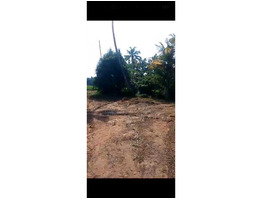 56 Cent Land For Sale Near by Aluva - Paravoor  Road, Ernakulam District