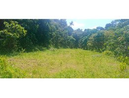 Land with Building for Sale at Kadammanitta, Pathanamthitta