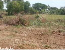 Land for Sale at Vadavathoor, Kottayam