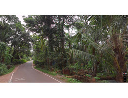 10 Cent Land For Sale At  Kayalode ,Kannur District