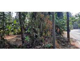 10 Cent Land For Sale At  Kayalode ,Kannur District