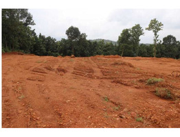 2 Acres  Land For Lease/Rent  Near By Kothamangalam Town