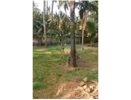 60 Cents Commercial/Residential Land For Sale by Kodannur Junction,Thrissur