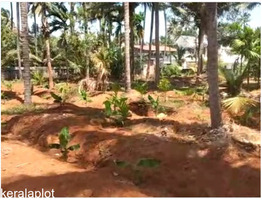 60 Cents Commercial/Residential Land For Sale by Kodannur Junction,Thrissur