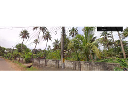 60 Cents Commercial/Residential Land For Sale by Kodannur Junction,Thrissur