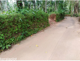 20 Cent Land For Sale Near by Narikkuni Bus Stand,Kozhikode District