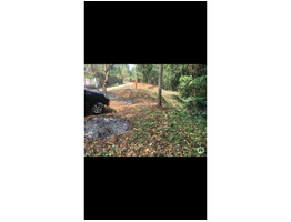 14.15 Cent Land For Sale Near by pampady,Alampally  Junction Kottayam District