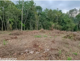 3 Acre land  for sale near by  Kakkayam Valley Tourism Thonikadav Children's Park