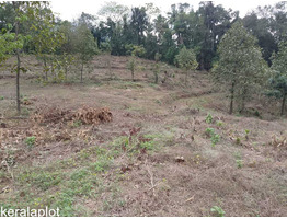 3 Acre land  for sale near by  Kakkayam Valley Tourism Thonikadav Children's Park