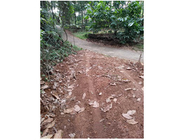 3 Acre land  for sale near by  Kakkayam Valley Tourism Thonikadav Children's Park