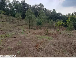 3 Acre land  for sale near by  Kakkayam Valley Tourism Thonikadav Children's Park