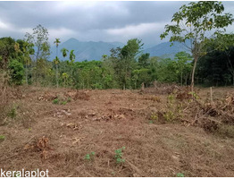 3 Acre land  for sale near by  Kakkayam Valley Tourism Thonikadav Children's Park