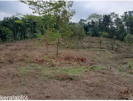 3 Acre land  for sale near by  Kakkayam Valley Tourism Thonikadav Children's Park