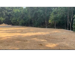 30 Cent Land For Sale Heart Of Muvattupuzha Town