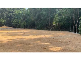 30 Cent Land For Sale Heart Of Muvattupuzha Town