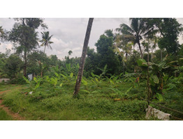 10 Cents 2 plots for sale at Madathumpady