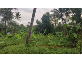 10 Cents 2 plots for sale at Madathumpady