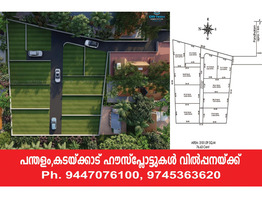 House Plots For sale near by pandalam,Kadakkadu