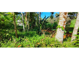 15 cent land For sale near by Kothamangalam Nellimattom MBITS College