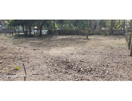 20 cent & 14.75 cent 2 House plots for sale at Mannar Panchayat, Alapuzha