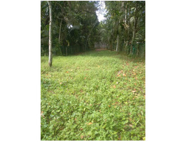 45 cent land for sale near by olakettiambalam Orthodox Church