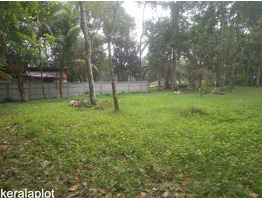 45 cent land for sale near by olakettiambalam Orthodox Church