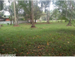 45 cent land for sale near by olakettiambalam Orthodox Church