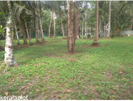 45 cent land for sale near by olakettiambalam Orthodox Church