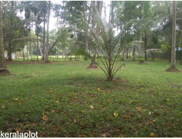 45 cent land for sale near by olakettiambalam Orthodox Church