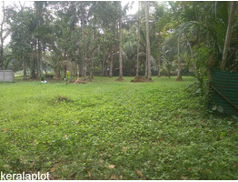 45 cent land for sale near by olakettiambalam Orthodox Church