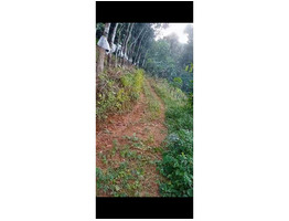 2.45 Acres Agricultural Land Sale near by Arayanchilmannu,mukkuttuthara Erumely