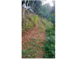 2.45 Acres Agricultural Land Sale near by Arayanchilmannu,mukkuttuthara Erumely