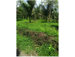 1 Acres Land For Sale