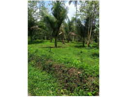 1 Acres Land For Sale